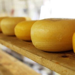 Plakken kaas jong Gesneden 1kg