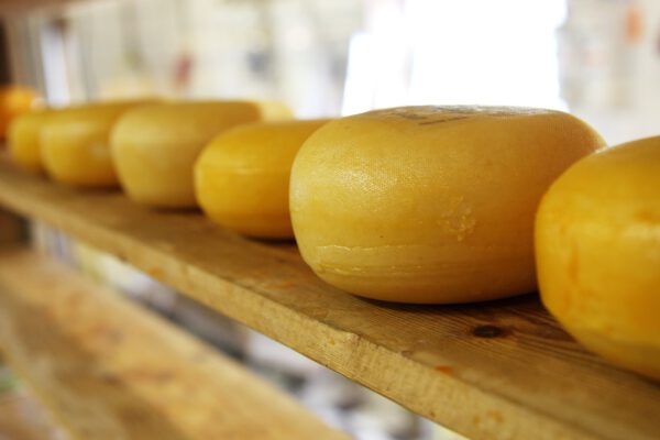 Plakken kaas jong Gesneden 1kg